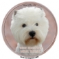 West Highland White Terrier 1