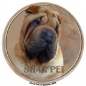 Shar Pei