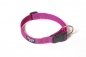 Color & Gray Halsband 27-42 cm 20 mm pink