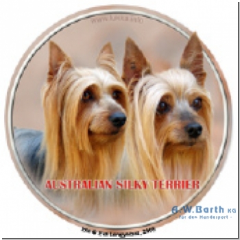 Australian Silky Terrier