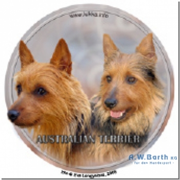 Australian Terrier