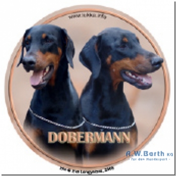 Dobermann Motiv 3