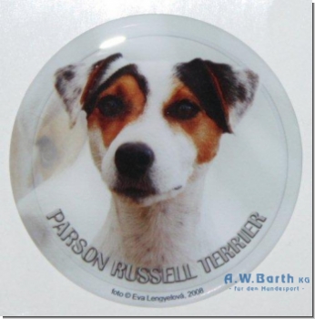 Parson Russel Terrier 2