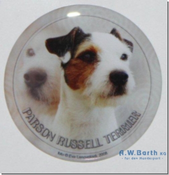 Parson Russel Terrier 1