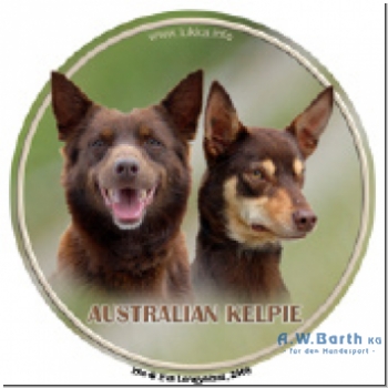 Australian Kelpie