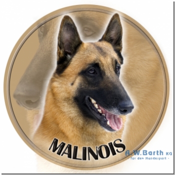 Malinois Motiv 1