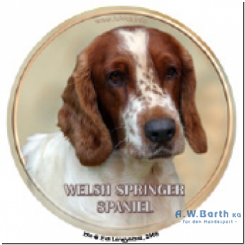 Welsh Springer Spaniel