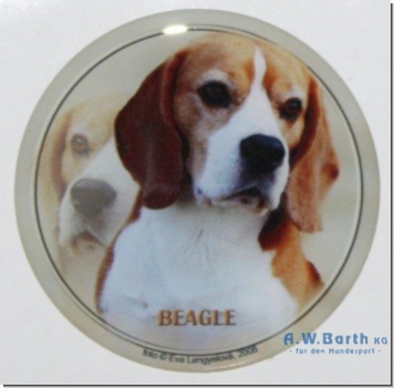 Beagle Motiv 2