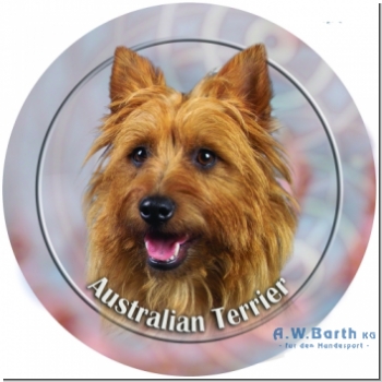 Australian Terrier 2