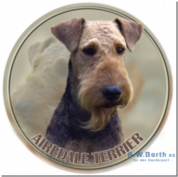 Airedale Terrier 1