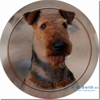 Airedale Terrier 2