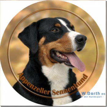 Appenzeller Sennenhund 1