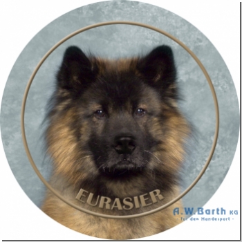 Eurasier 1