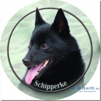 Schipperke