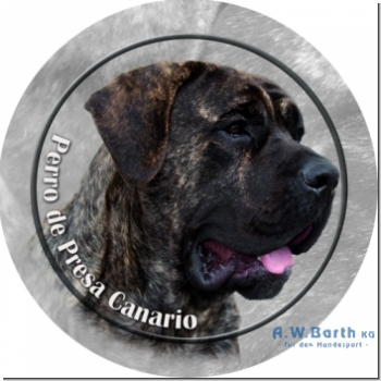 Dogo Canario