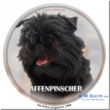 Affenpinscher