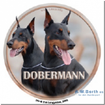 Dobermann Motiv 4