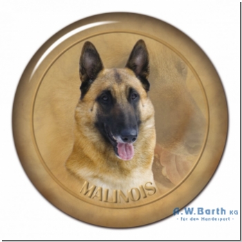 Malinois Motiv 2