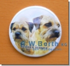 Border Terrier