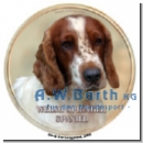 Welsh Springer Spaniel