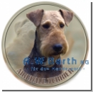 Airedale Terrier 1