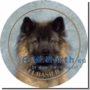 Eurasier 1