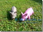 Schwein mit original Tierstimme klein